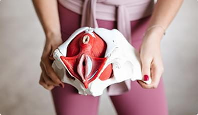 Pelvic floor